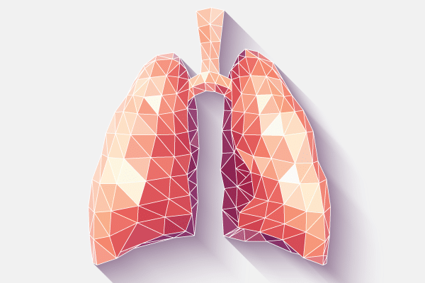 Auf dem Bild sieht man eine menschliche Lunge als 3-D-Illustration in polygoner Optik