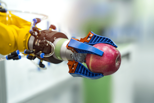 Foto: Roboterarm hält Apfel